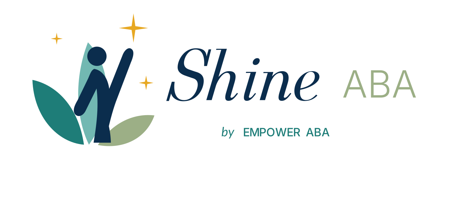 Shine ABA